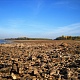 Старомайнский. Головкинские острова во время жары